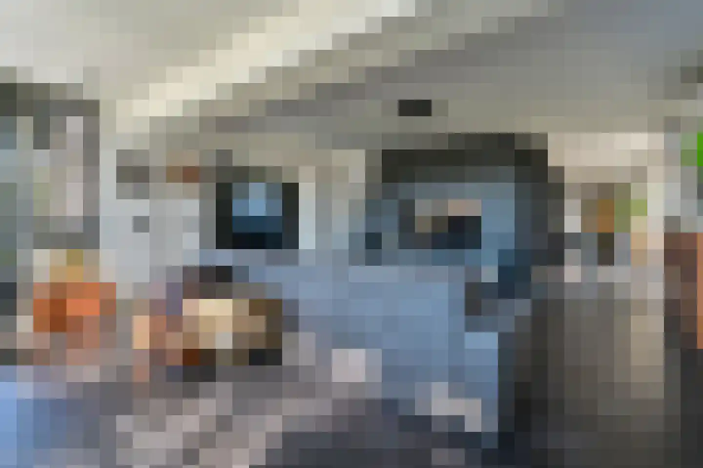 Zonneweg 9 Emmen thumbnail 20