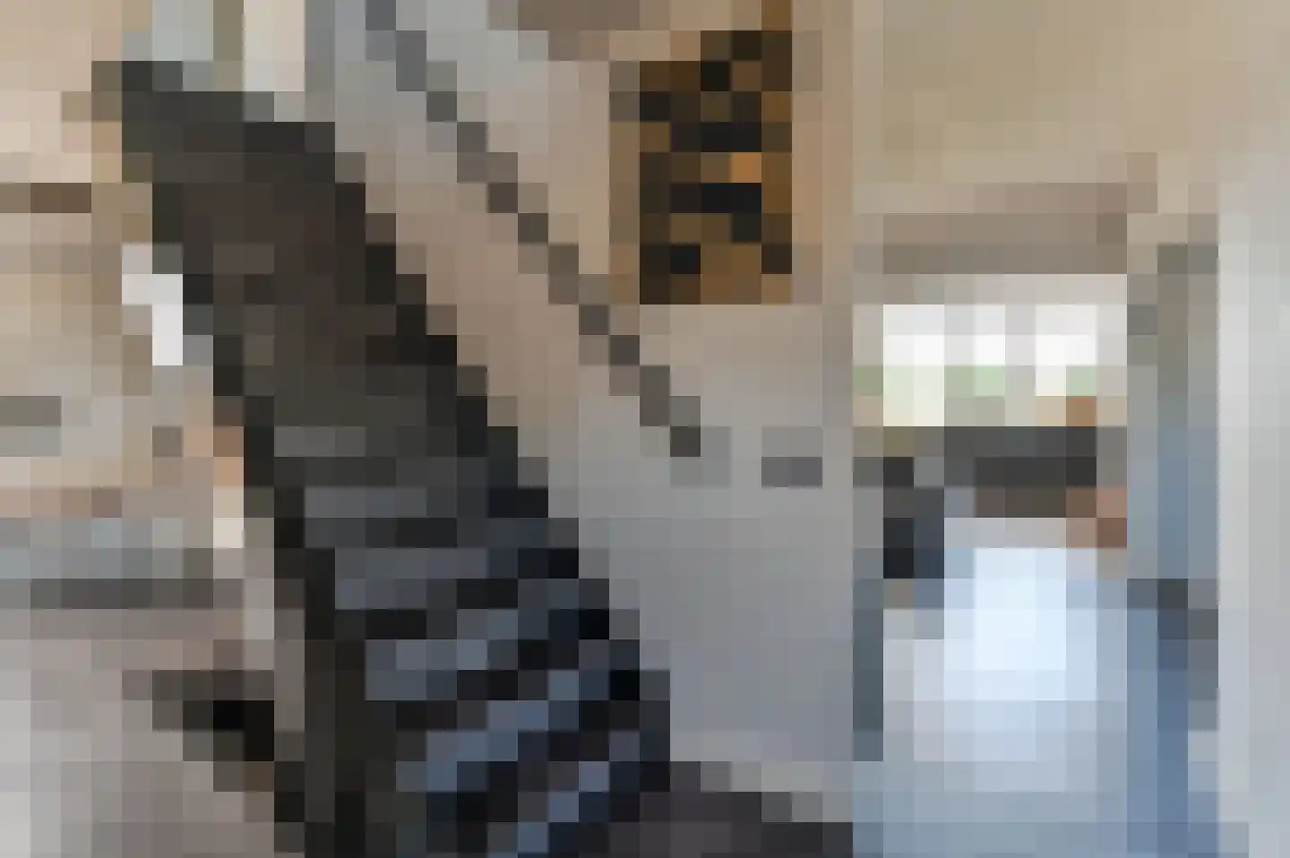 Zonneweg 9 Emmen thumbnail 44