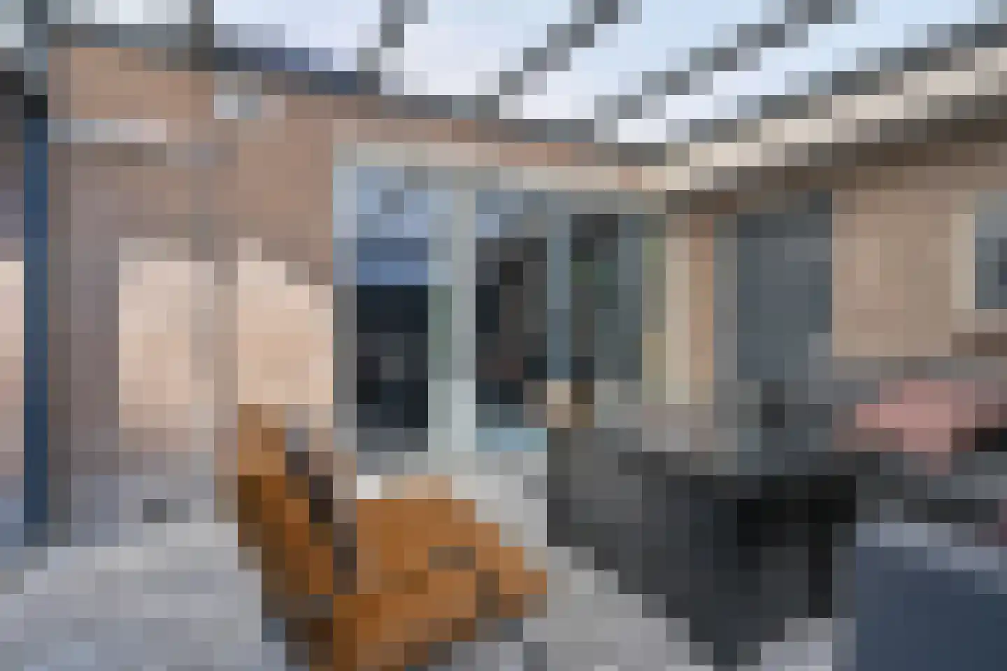Zonneweg 9 Emmen thumbnail 76