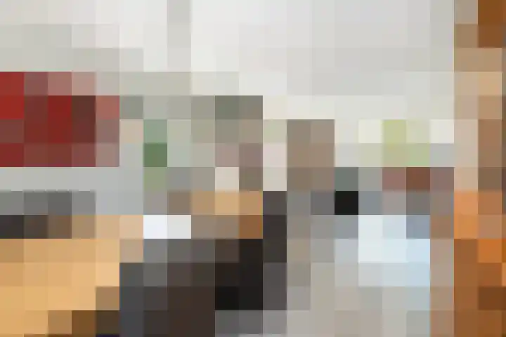 Zonneweide 10 Biddinghuizen thumbnail 12