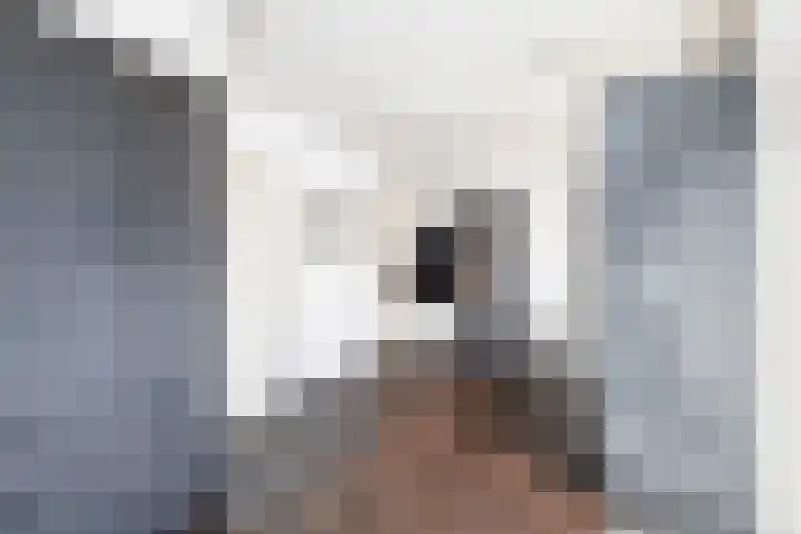 Zonneweide 10 Biddinghuizen thumbnail 15