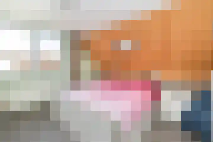 Zonneweide 10 Biddinghuizen thumbnail 20
