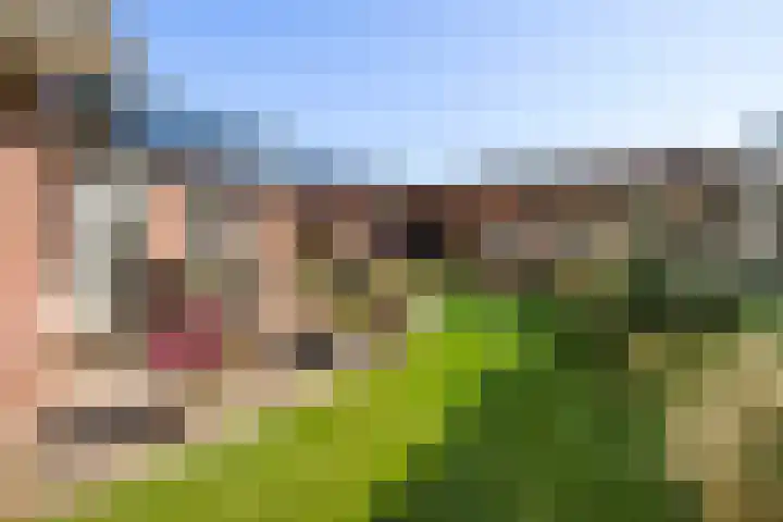 Zonneweide 10 Biddinghuizen thumbnail 26