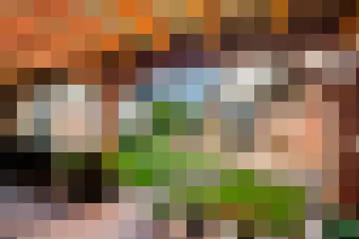 Zonneweide 10 Biddinghuizen thumbnail 28