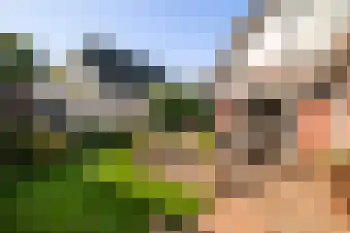 Zonneweide 10 Biddinghuizen thumbnail 30