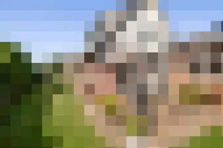 Zonneweide 10 Biddinghuizen thumbnail 31