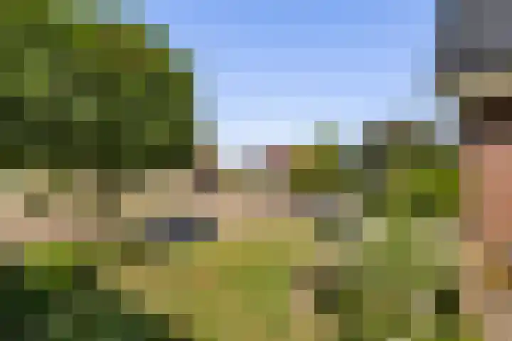 Zonneweide 10 Biddinghuizen thumbnail 33