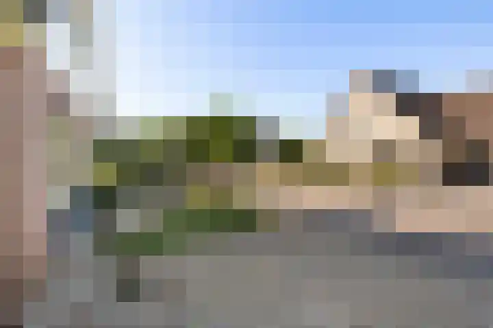Zonneweide 10 Biddinghuizen thumbnail 34