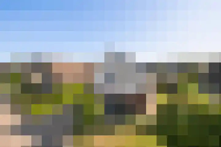 Zonneweide 10 Biddinghuizen thumbnail 35
