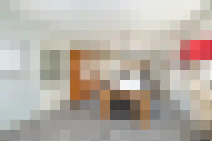 Zonneweide 10 Biddinghuizen thumbnail 4