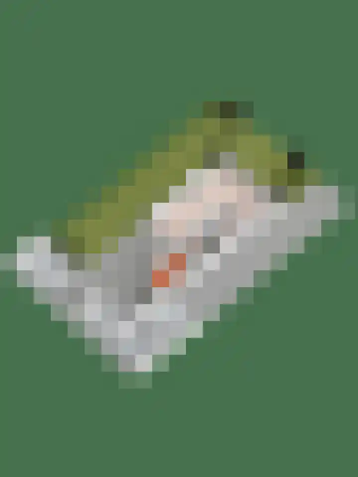 Zonneweide 10 Biddinghuizen thumbnail 40