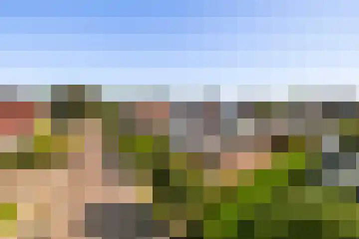 Zonneweide 10 Biddinghuizen thumbnail 5