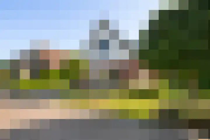 Zonneweide 10 Biddinghuizen thumbnail 6