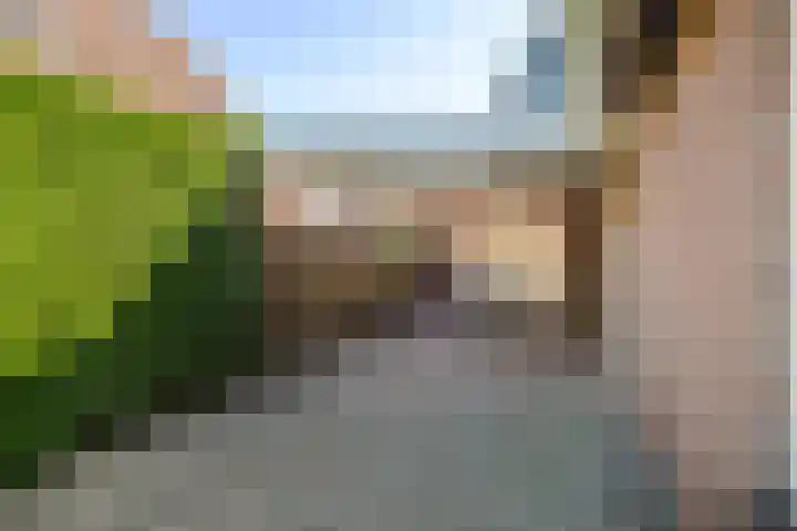 Zonneweide 10 Biddinghuizen thumbnail 7