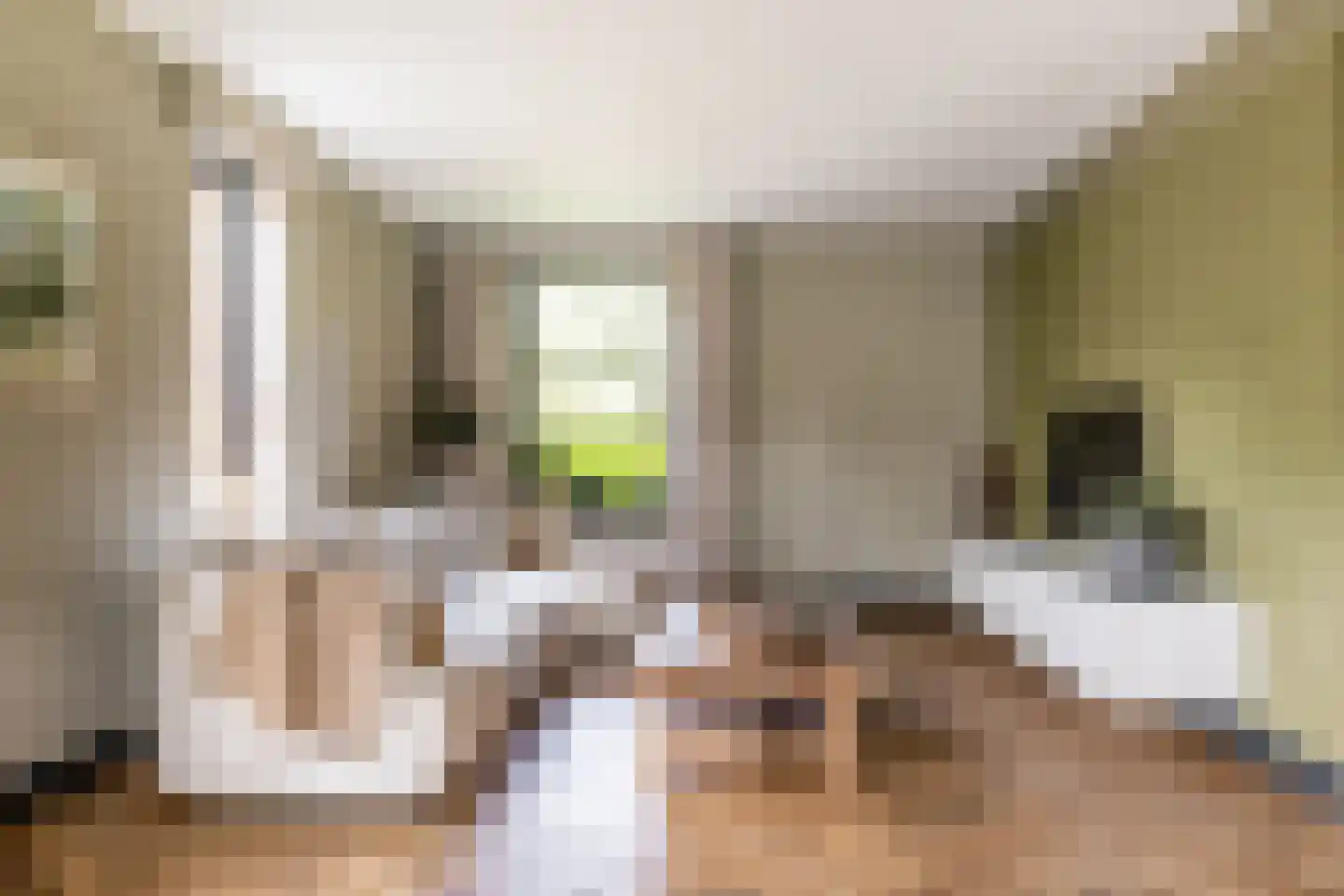 Zonneweide 13 Ossendrecht thumbnail 27
