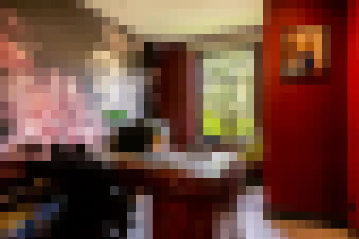 Zonneweide 13 Ossendrecht thumbnail 32