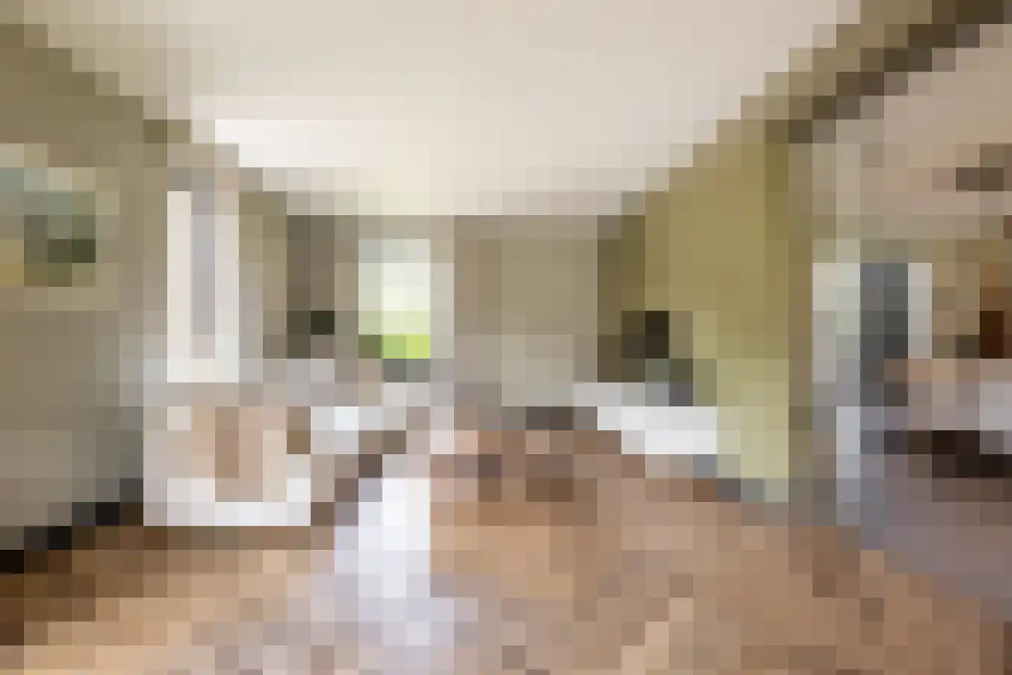Zonneweide 13 Ossendrecht thumbnail 4