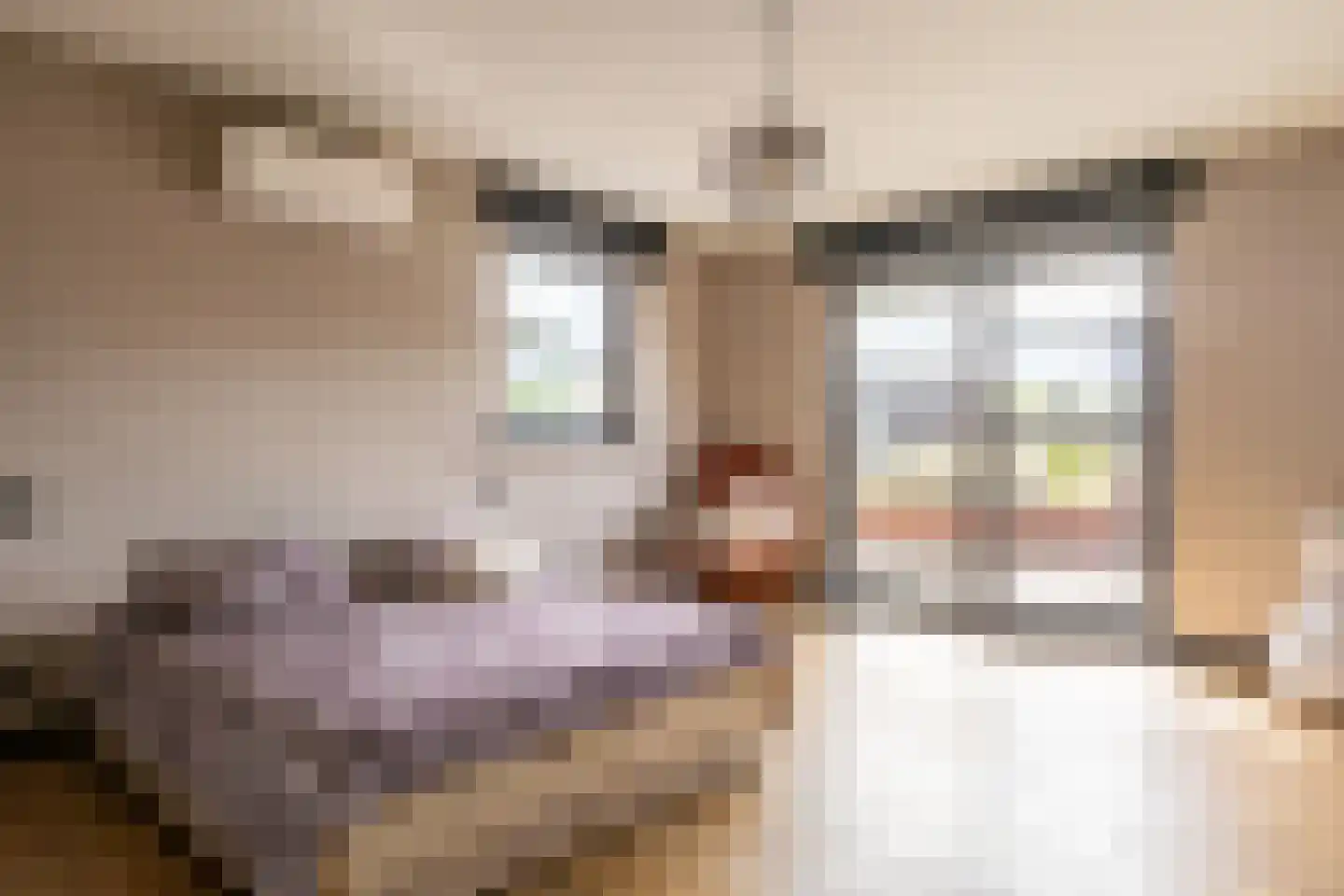 Zonneweide 13 Ossendrecht thumbnail 55