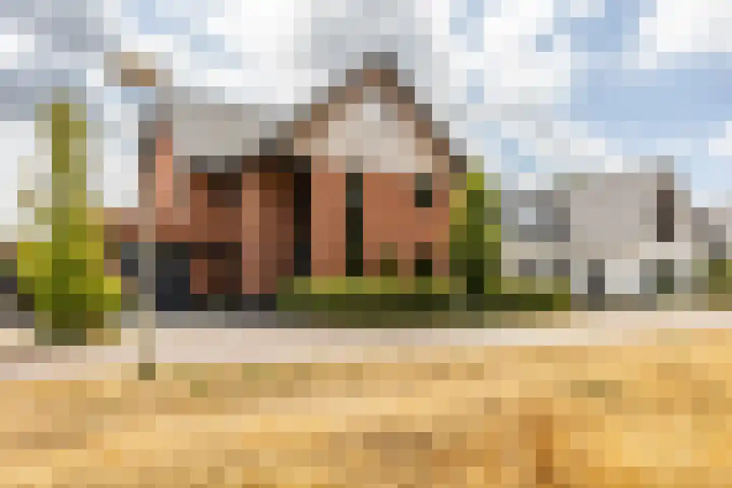 Zonneweide 13 Ossendrecht thumbnail 6
