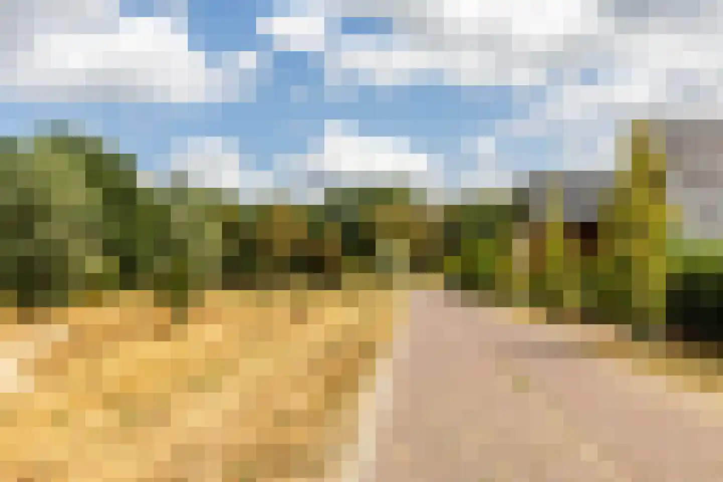 Zonneweide 13 Ossendrecht thumbnail 7