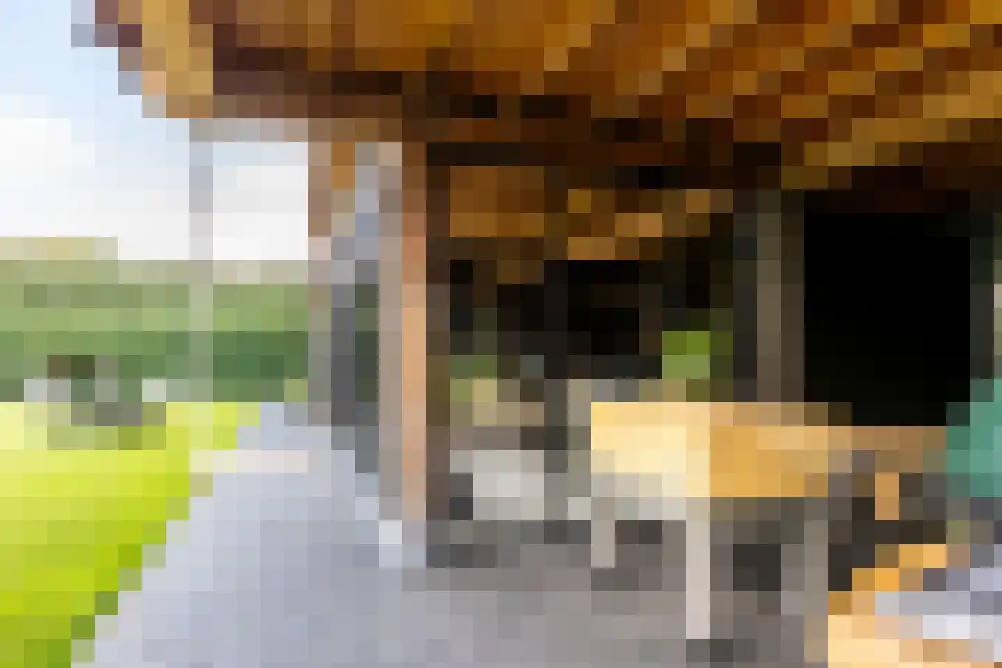 Zonneweide 13 Ossendrecht thumbnail 74