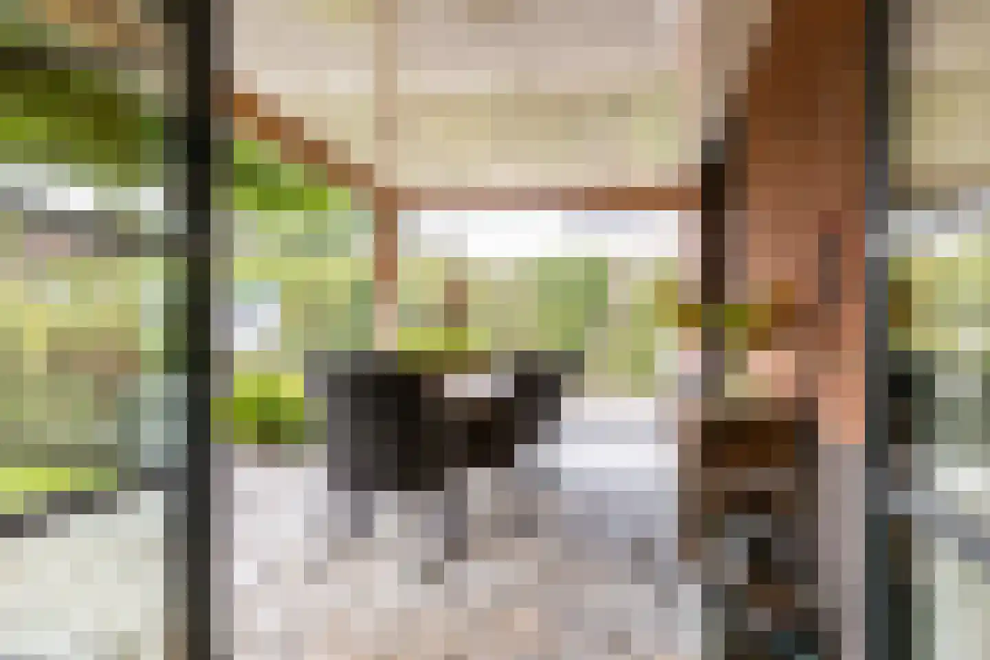 Zonneweide 13 Ossendrecht thumbnail 76