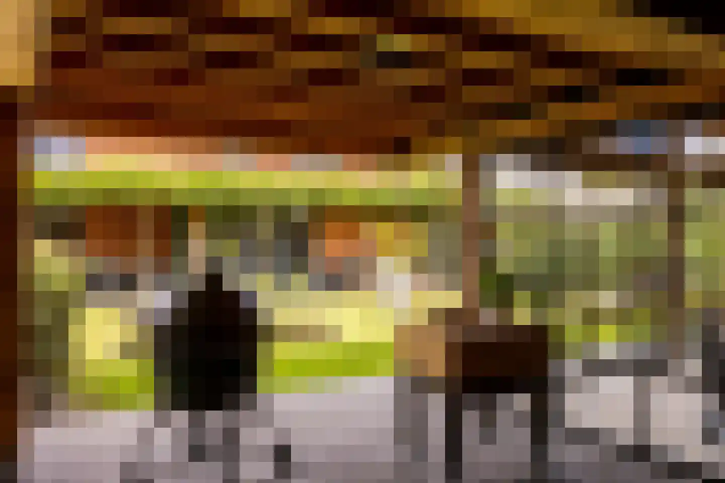 Zonneweide 13 Ossendrecht thumbnail 78