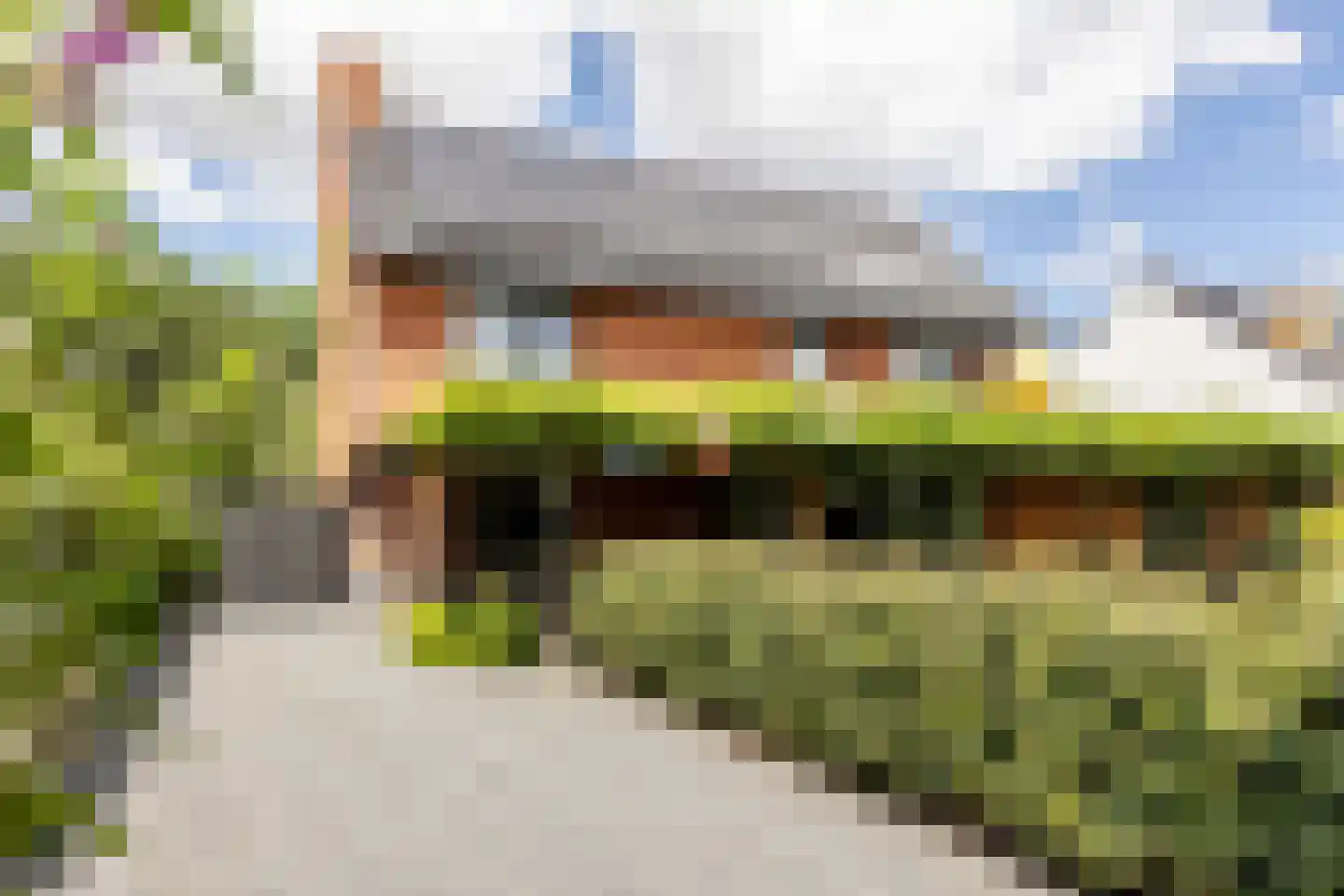 Zonneweide 13 Ossendrecht thumbnail 81