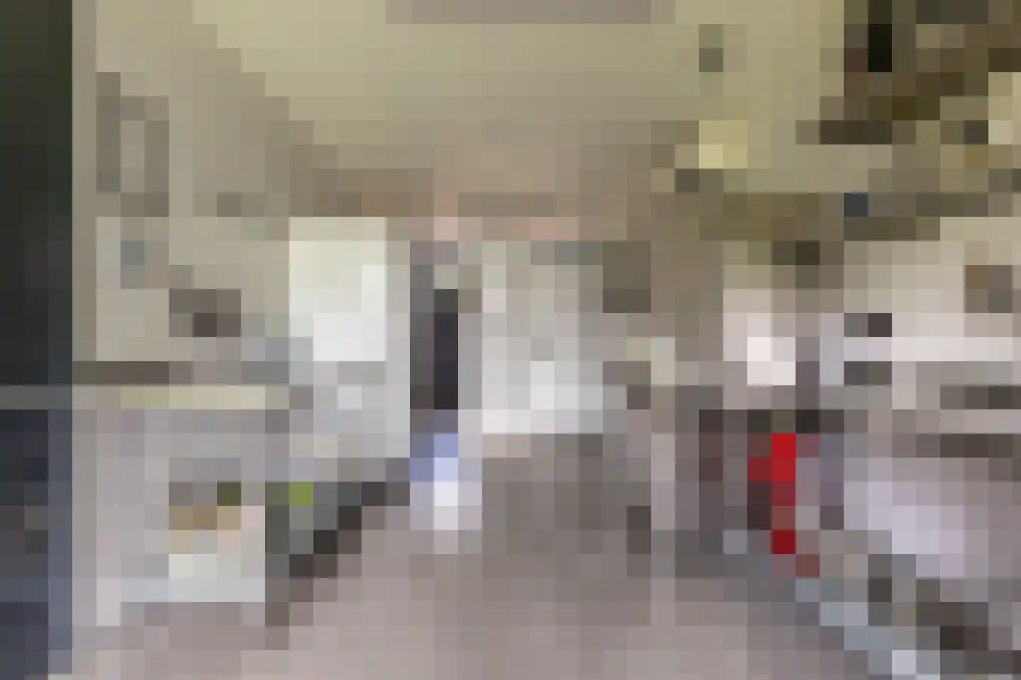 Zonneweide 13 Ossendrecht thumbnail 86