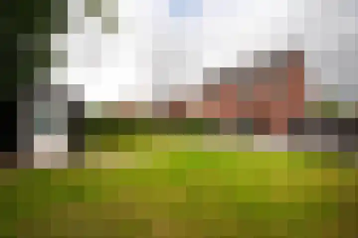 Zonneweide 16 a Ossendrecht thumbnail 36