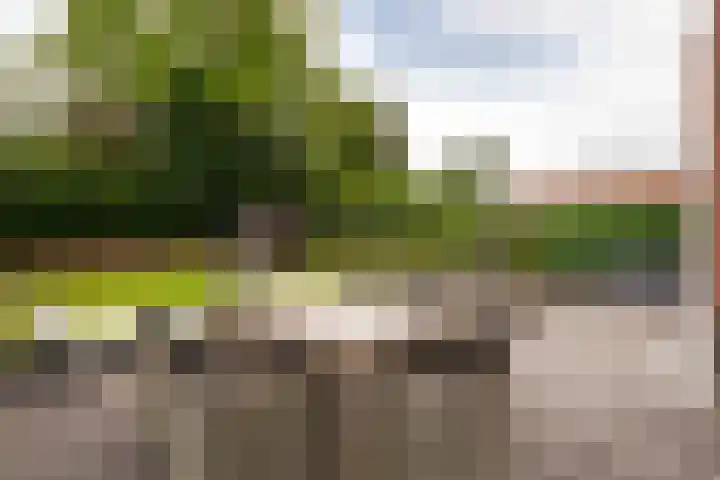 Zonneweide 16 a Ossendrecht thumbnail 38