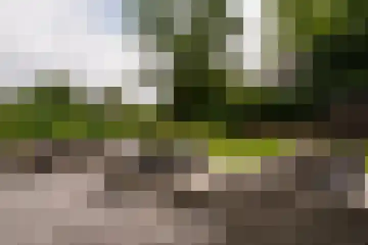 Zonneweide 16 a Ossendrecht thumbnail 39