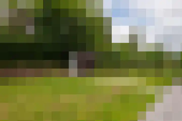 Zonneweide 16 a Ossendrecht thumbnail 41