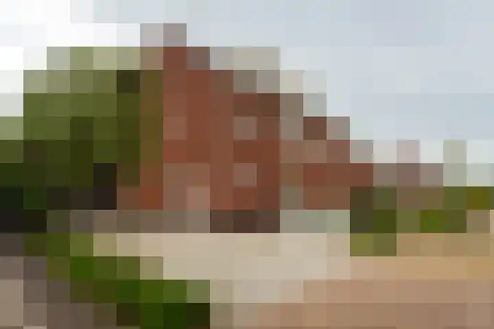 Zonneweide 16 a Ossendrecht thumbnail 43