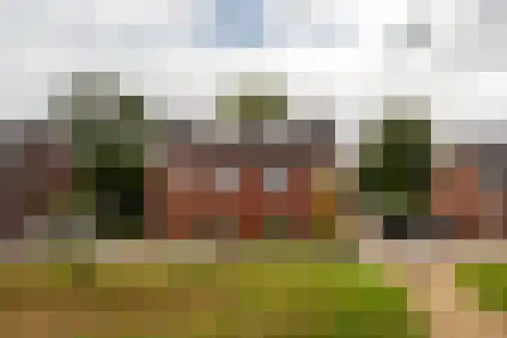Zonneweide 16 a Ossendrecht thumbnail 44