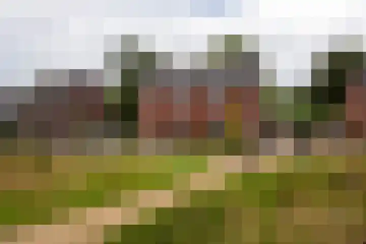 Zonneweide 16 a Ossendrecht thumbnail 45