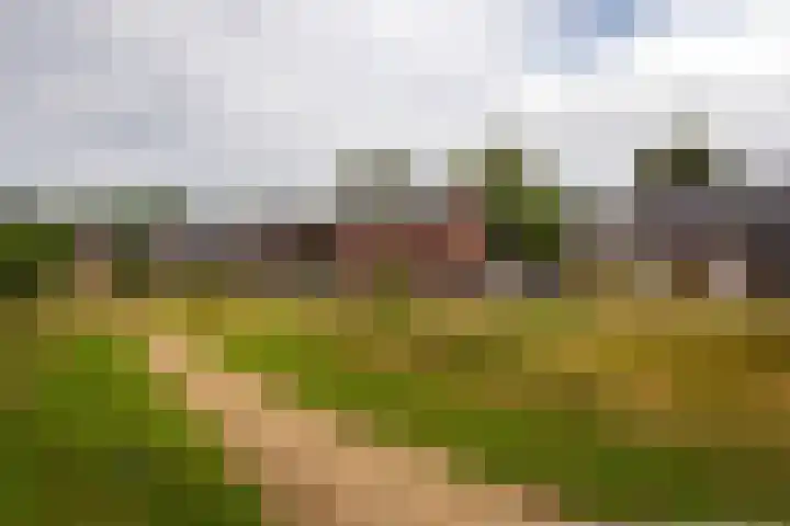 Zonneweide 16 a Ossendrecht thumbnail 46