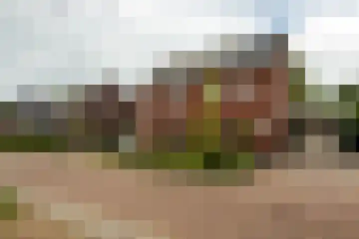 Zonneweide 16 a Ossendrecht thumbnail 47