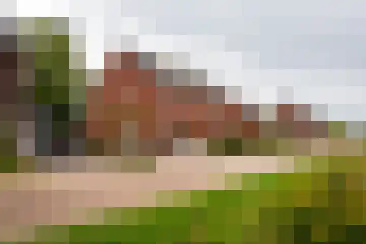 Zonneweide 16 a Ossendrecht thumbnail 48