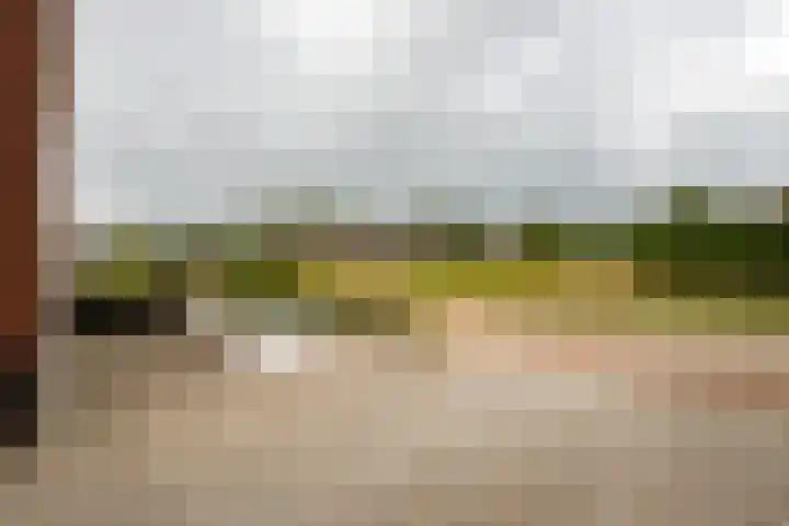 Zonneweide 16 a Ossendrecht thumbnail 49