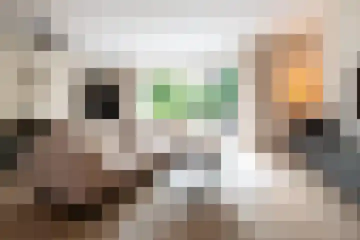 Zonneweide 16 a Ossendrecht thumbnail 6