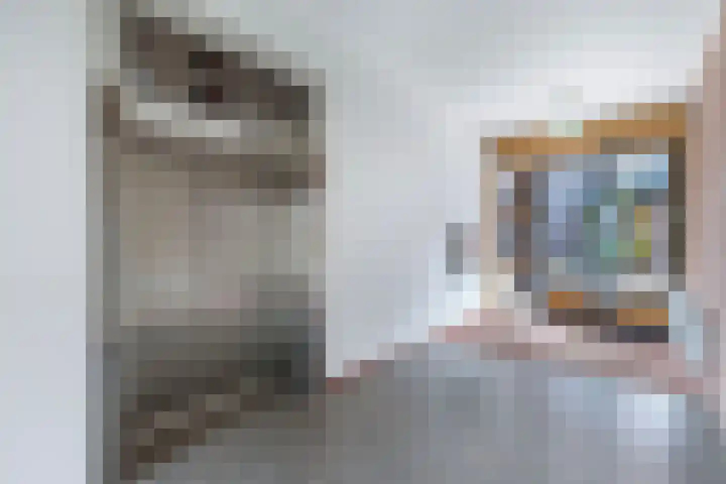 Zonneweide 19 B Surhuisterveen thumbnail 14