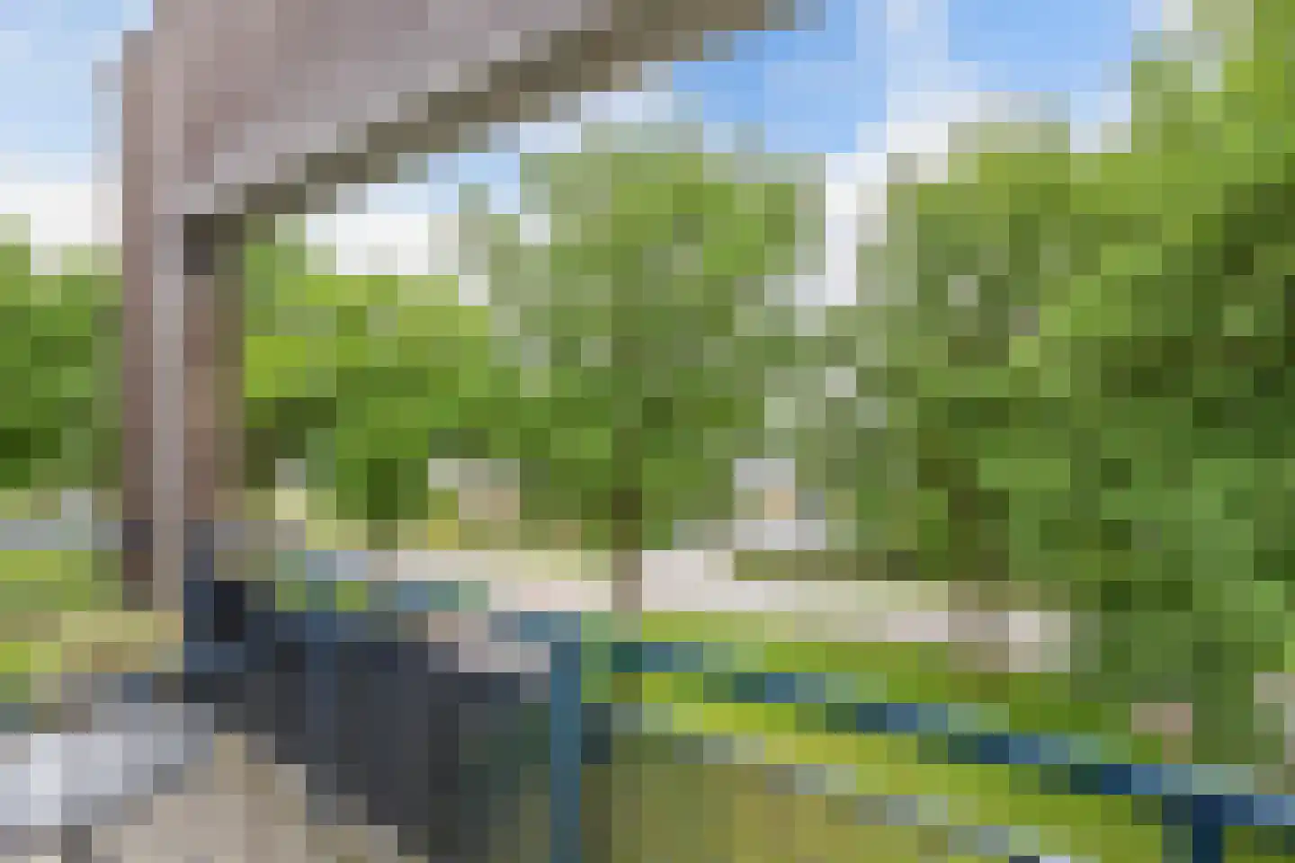 Zonneweide 19 B Surhuisterveen thumbnail 29