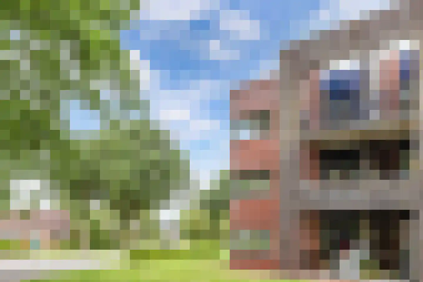 Zonneweide 19 B Surhuisterveen thumbnail 9
