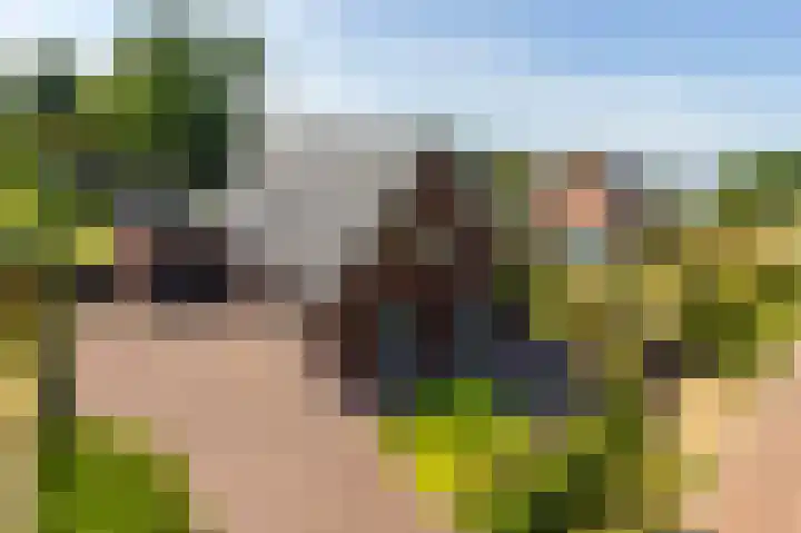 Zonneweide 24 Ossendrecht thumbnail 38