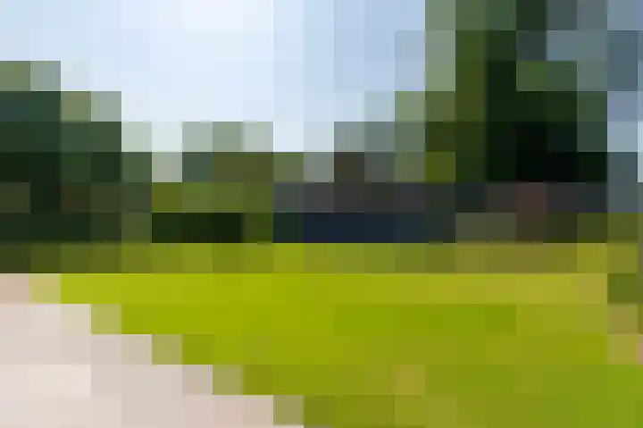Zonneweide 24 Ossendrecht thumbnail 4