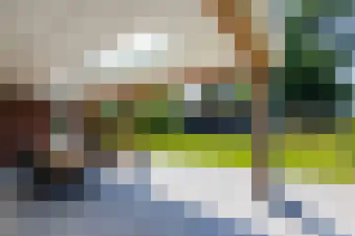 Zonneweide 24 Ossendrecht thumbnail 42