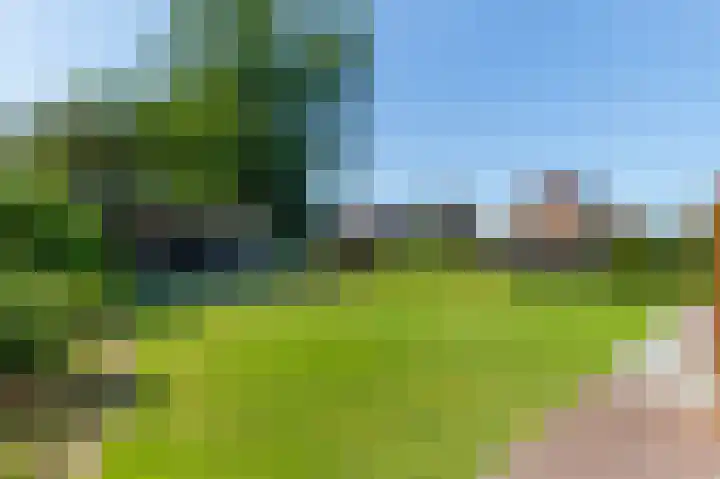 Zonneweide 24 Ossendrecht thumbnail 47