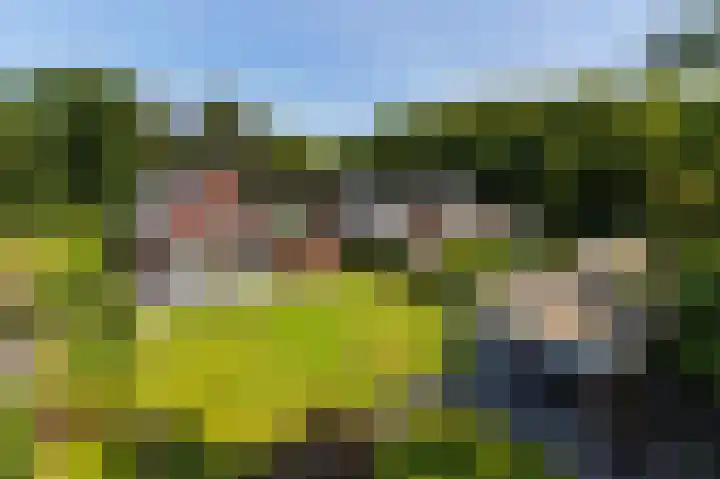 Zonneweide 24 Ossendrecht thumbnail 52