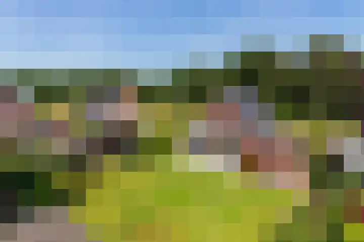 Zonneweide 24 Ossendrecht thumbnail 53